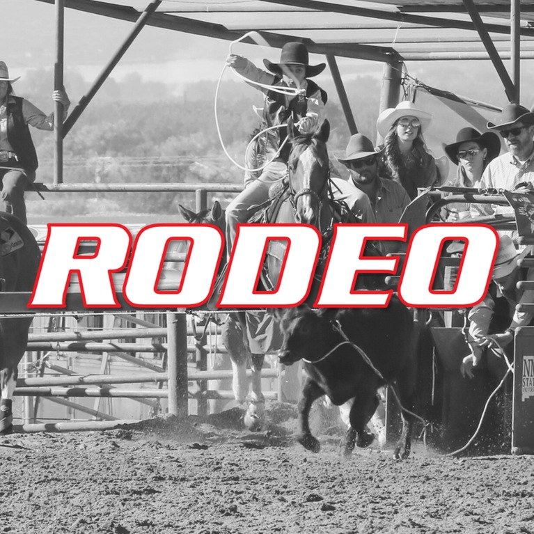 Thumbnail photo for the Photo Gallery - Rodeo gallery